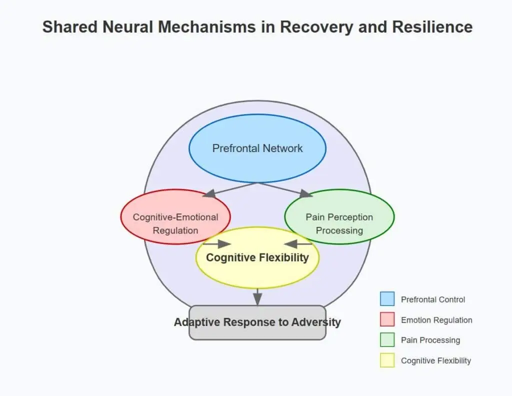 Shared Cognitive Mechanisms in Recovery and Resilience