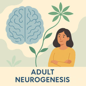 Adult Nuerogenesis