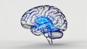 Comprehensive Brain Mapping